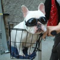 15 months, this was taken at central park, last autumn 15 months, this was taken at central park, last autumn